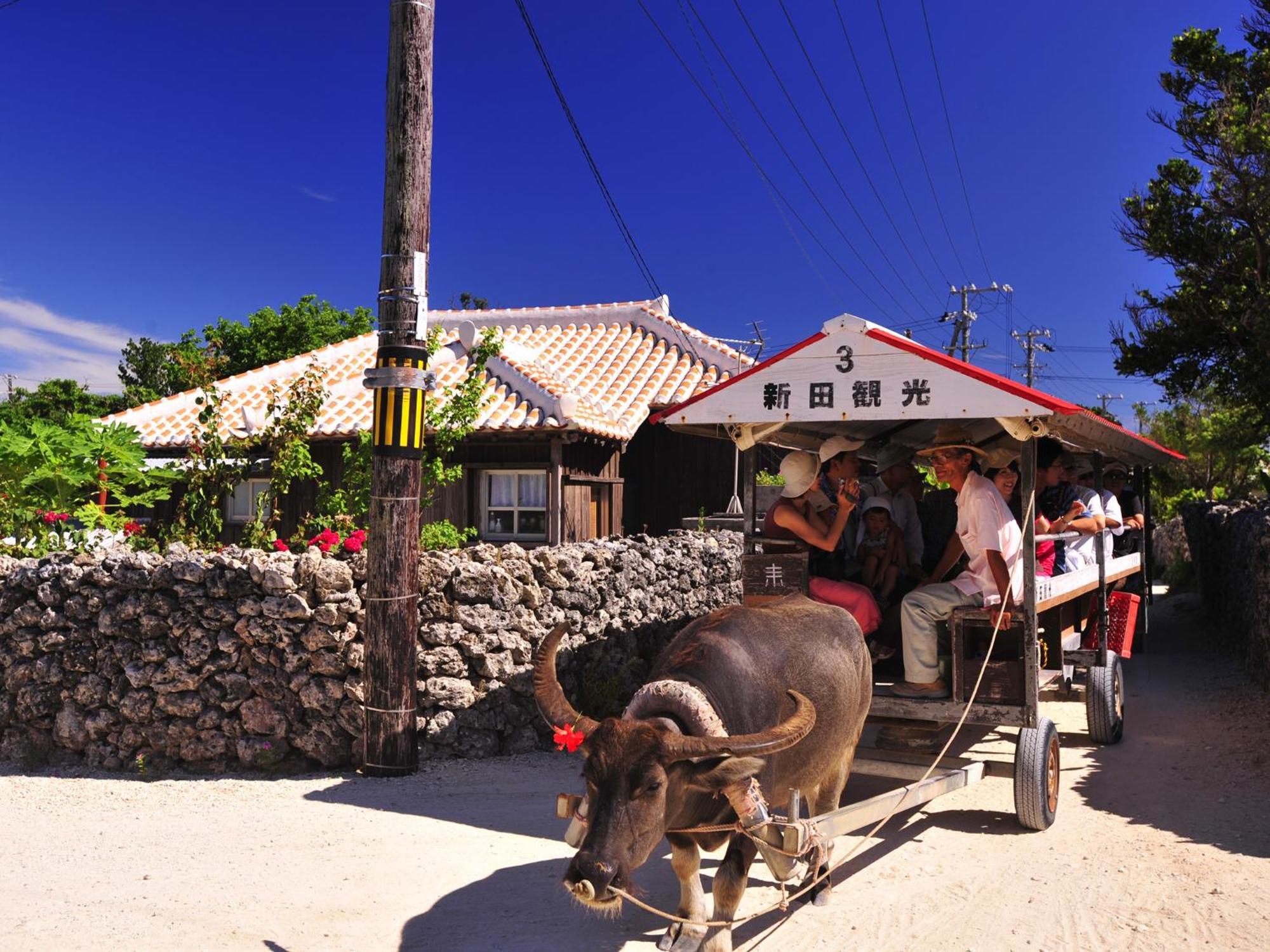 Haimurubushi Kohama Island Exterior foto